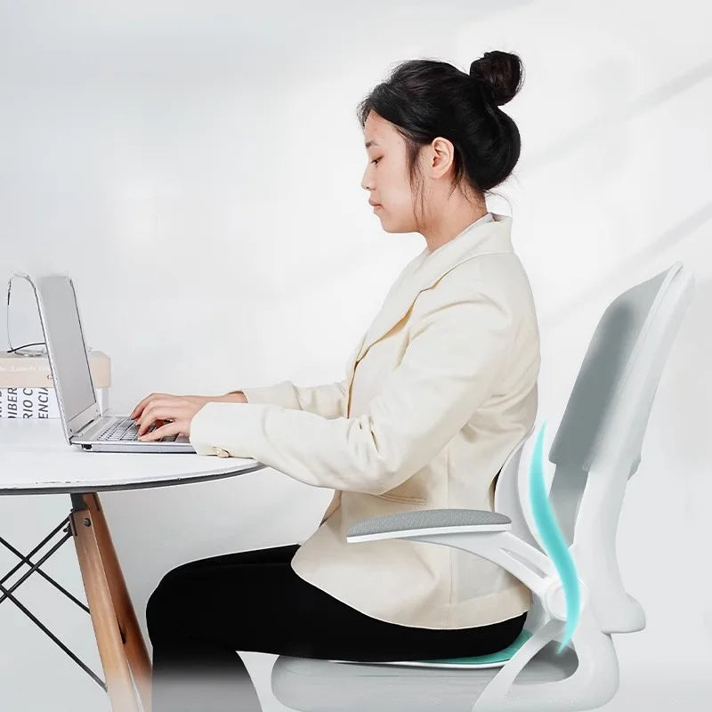 Back Support Cushion for Office Desk Chair