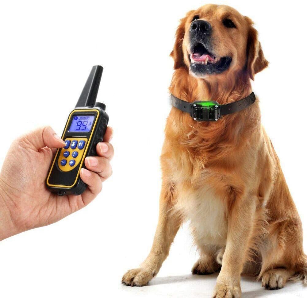 effective-rechargeable-dog-tra-5-6a72rz