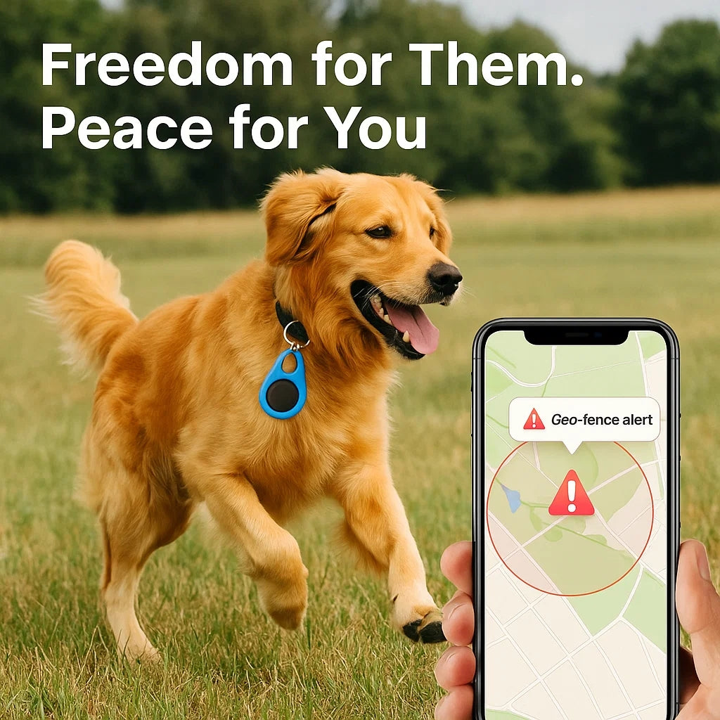 GPS Location Tracker for Kids and Pets - Image 3