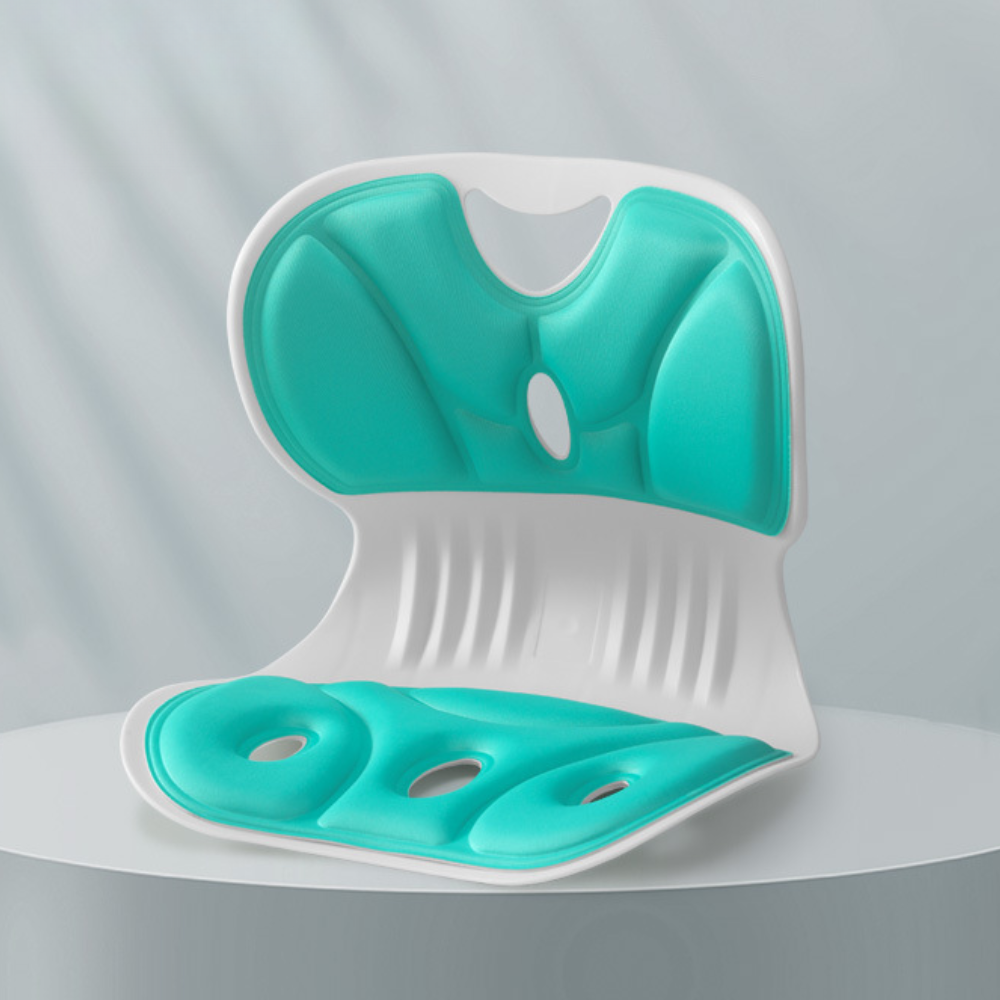 Back Support Cushion for Office Desk Chair