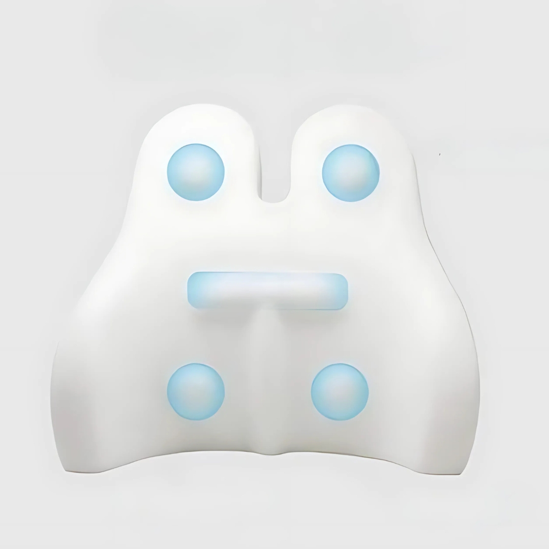 Back Support Cushion with Memory Foam Design