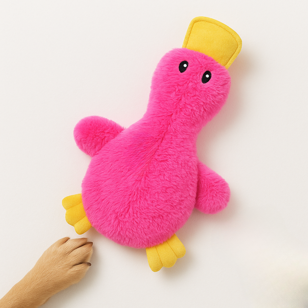 Hundespielzeug zum Kauen Plüschente mit Quietscher