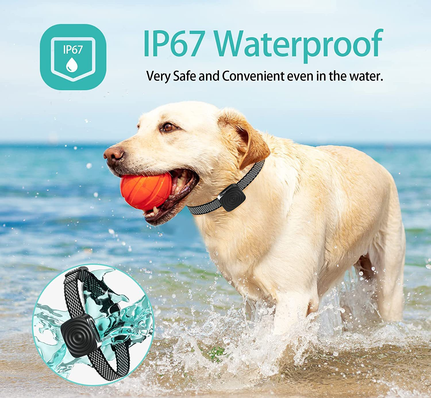 Collare Antiabbaio per Cani di Piccola Taglia