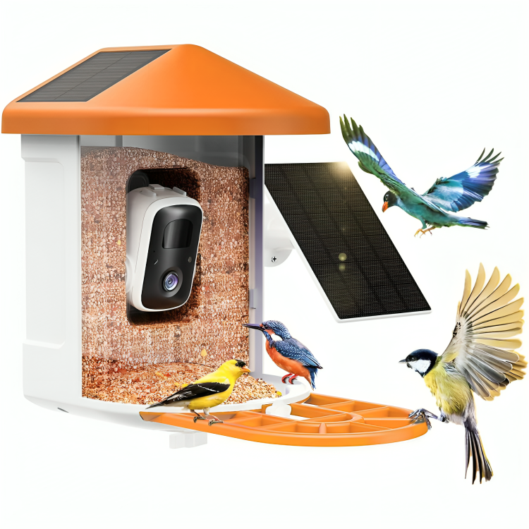 Bird Feeder Camera Solar Smart Outdoor Device