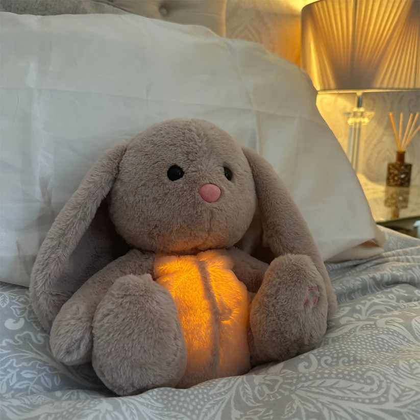 Plush Toy with Soothing Light and Sound